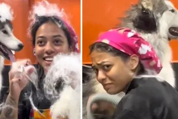 Bavi se uljepšavanjem životinja, a ovaj joj je haski zadao težak posao: Bila je mokra od glave do pete