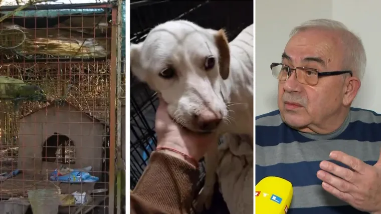 Susjed otkriva detalje o dvorištu smrti kraj Zagreba: 'Inspektori su mi rekli kaj se petljam u to'