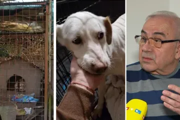 Susjed otkriva detalje o dvorištu smrti kraj Zagreba: 'Inspektori su mi rekli kaj se petljam u to'