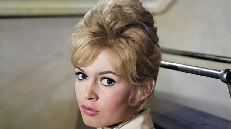 Lavovi bi mogli izložiti svoje ideje, a Ribe koristiti intuiciju