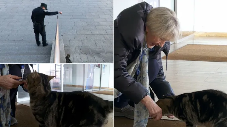 Mupko iselio iz PU zagrebačke i preselio gospođi Eti: Sa sobom ponio dobar apetit, a uz poslastice se brzo udomaćio