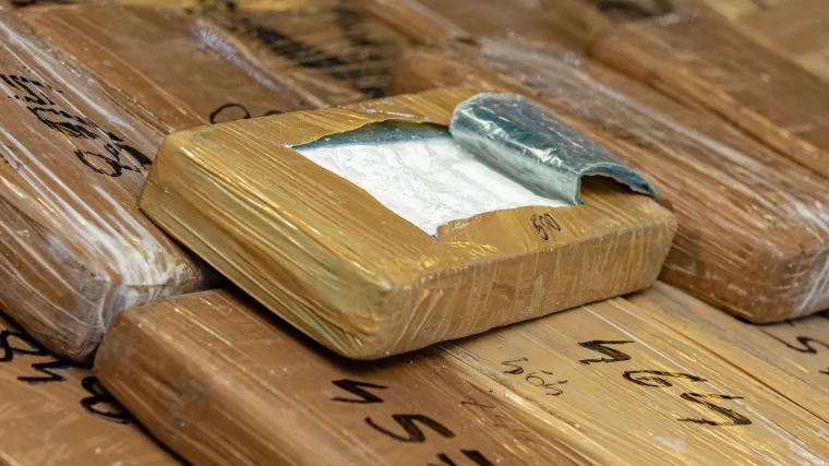 Uhvatili ga s 18 kilograma kokaina: Rasporedio ga po paketima velikih smrznutih kozica