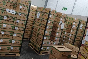 Krijumčari kokain vrijedan 10 milijuna funti sakrili u kutije od banana. Pogledajte kako su to izveli