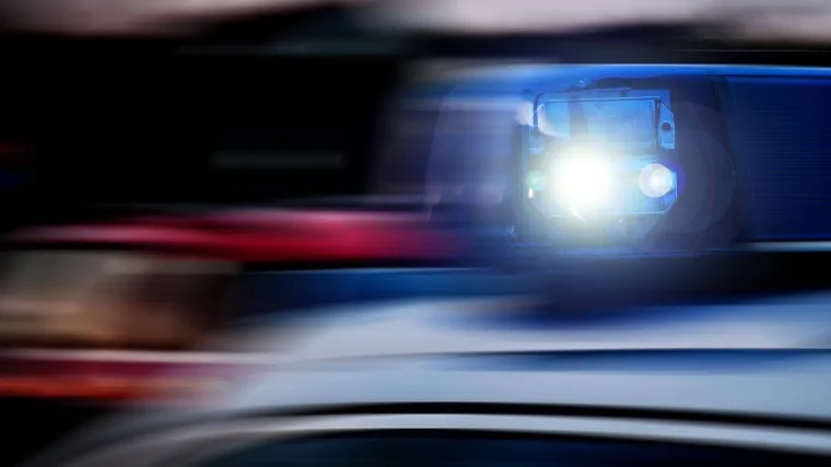 Jeziva dojava kod Vinkovaca: Policajci iza&scaron;li na teren i prona&scaron;li dva mrtva psa. Sumnjaju na monstruozno djelo