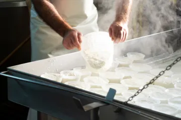 Srbin proizvodio kajmak od kojeg je u Austriji umrlo pet osoba. Beba jedva preživjela