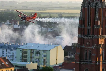 Naporne krvopije nije moguće iskorijeniti: Ipak, Osijek ih želi svesti na 'podnošljivu razinu'. Evo kako
