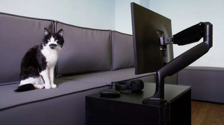 Vodič za odabir pravilnog nosača monitora