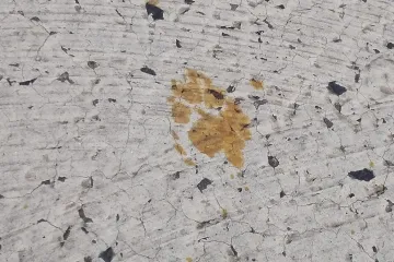 Mačka upala u opasnu kemikaliju, pa bacila japanski grad u stanje pripravnosti