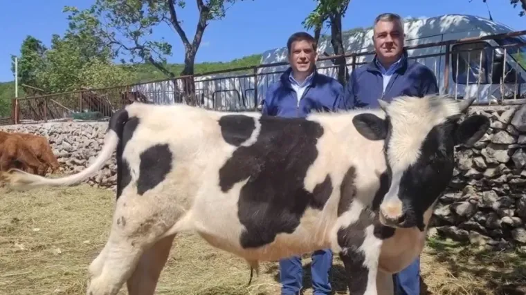 Milova postala Milojko, Butković provalio: 'Bolje da Milova nema oznake na ušima nego da Milanović...'