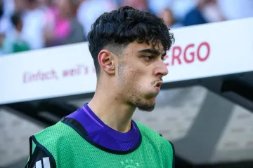 Srbi slave nesreću koja je pogodila Aleksandra Pavlovića: 'Tako mu i treba'