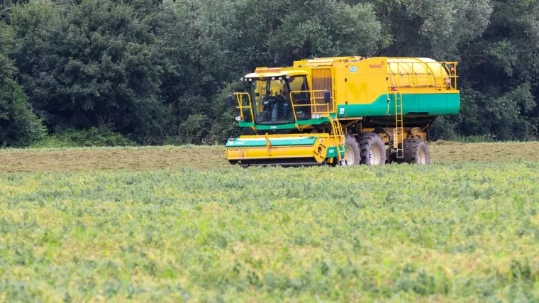 Podravkin gra&scaron;ak &ndash; od berbe do gotovog proizvoda u svega nekoliko sati
