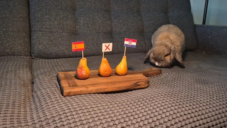 Tko će ispasti bolji prognozer? Zečica Sofi i pas Colt birali pobjednika dvoboja Hrvatska - Španjolska