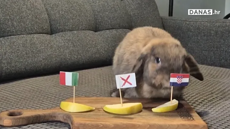 Zečica Sofi i pas Colt ni u dvoboju Hrvatske i Italije nisu se složili oko pobjednika