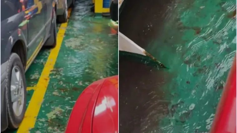 Na trajektu  za Mljet pola garaže pod morem. Objavili video: 'Da nije žalosno, bilo bi komično'