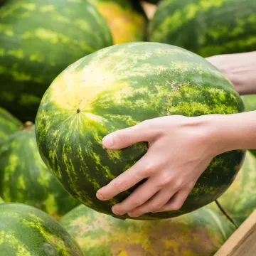 Kako odabrati najbolju lubenicu? Savjeti uz koje nećete pogriješiti