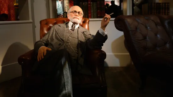 Freudov trik za pobjedu u svakoj svađi: 'Onaj tko vas vrijeđa ima samo jedan cilj'