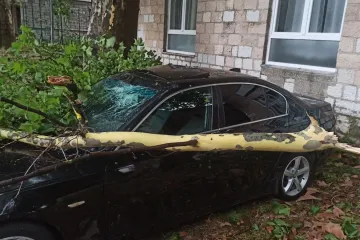 Olujno nevrijeme u BiH: U Trebinju vjetar čupao stabla, oštećeni brojni automobili