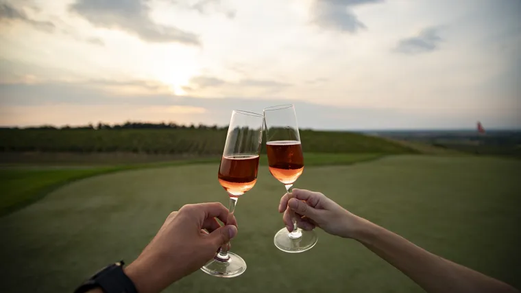 Ljetna eno-gastro priča s istoka Hrvatske u kojoj ćete uživati