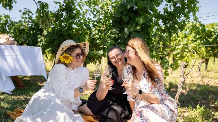 Vodimo vas u Srijem i Slavoniju