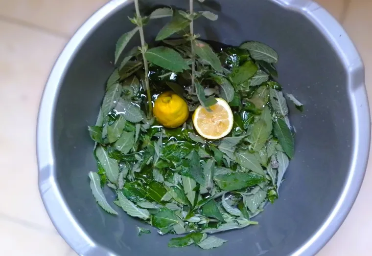 Rashladite se osvježavajućim sokom od mente i limuna po receptu bake Slavice