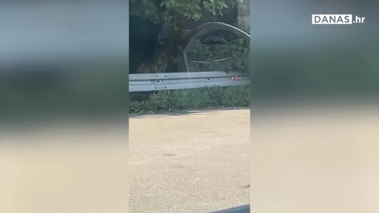 Grad Zagreb okupirali štakori? Čitateljica nam je poslala snimke