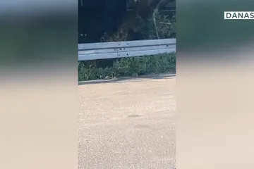 Štakori u glavnom gradu Hrvatske