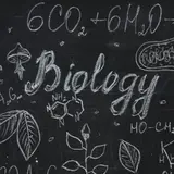 [KVIZ] Samo najbolji poznavatelji biologije prolaze ovaj izazov bez gre&scaron;ke: Dokaži se
