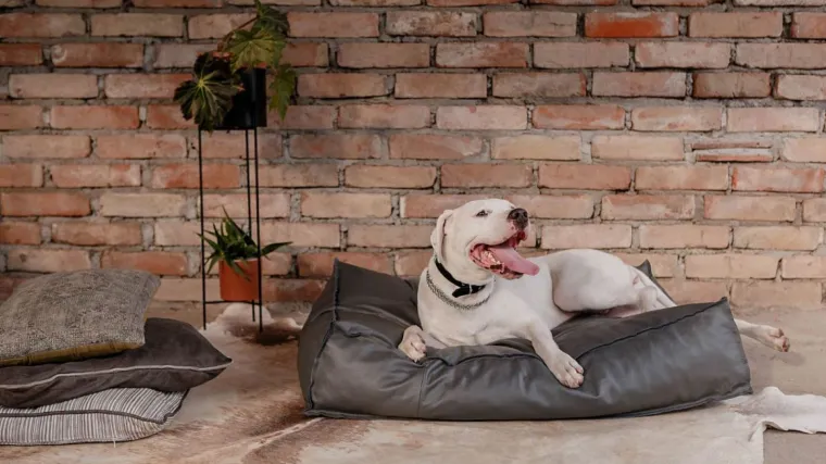 Nova kreativna imena na sedmom izdanju InDizajn sajma