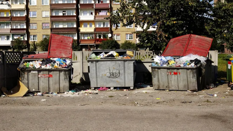 Stravičan slučaj: Majka bacila mrtvu bebu u smeće. Traga se za tijelom