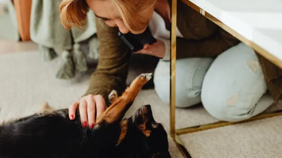 23 najčešće pogreške vlasnika pasa: Iznenadit će vas što sve šteti vašem ljubimcu