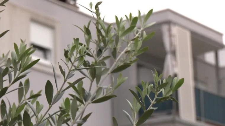 Novigrad kreće u već peti projekt izgradnje subvencioniranih stanova