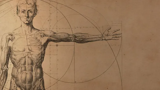 Ovih 16 organa ljudi imaju, a nisu im potrebni: Evo čemu su služili našim precima