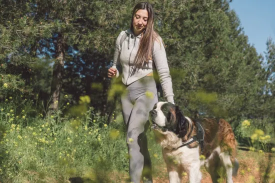 Ovih 20 pasa najteže razumije ljude: Neovisni su po prirodi i ignoriraju vlasnike