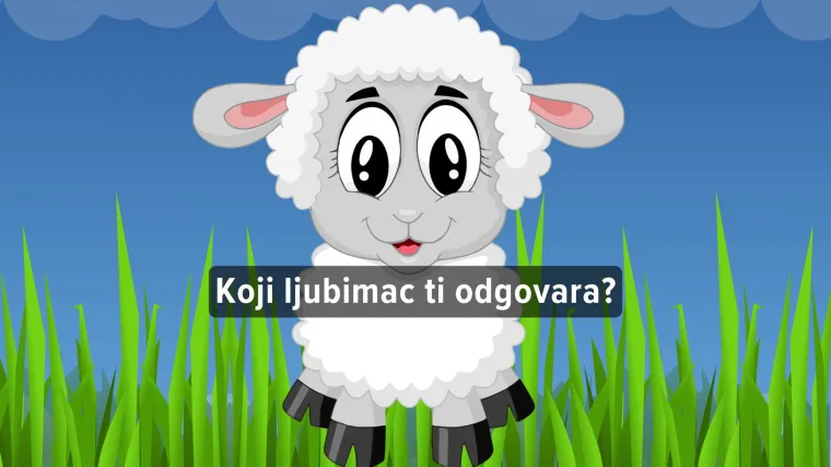 Kviz: Koji bi bio tvoj animirani ljubimac?