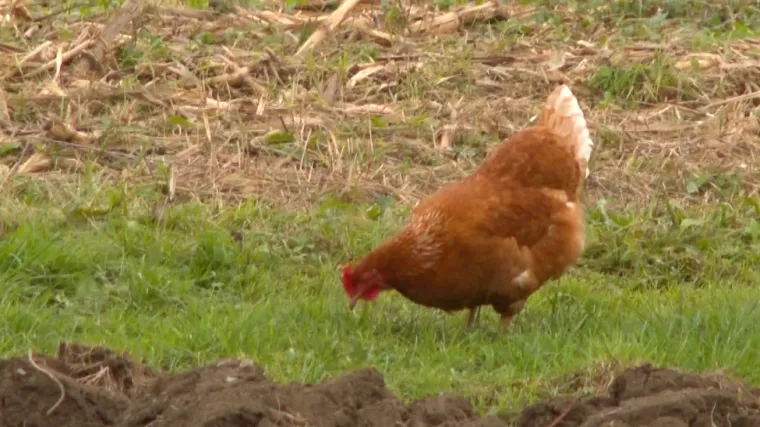 Skladište radioaktivnog otpada iz nuklearne elektrane Krško gradit će se u vojarni Čerkezovac
