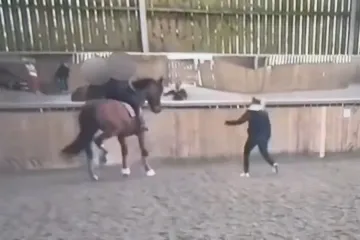 Najbolja na svijetu i legenda konjičkog sporta snimljena kako brutalnim bičevanjem maltretira konja