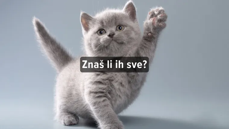 Kviz o sivim životinjama - Može&scaron; li imati sve točno?