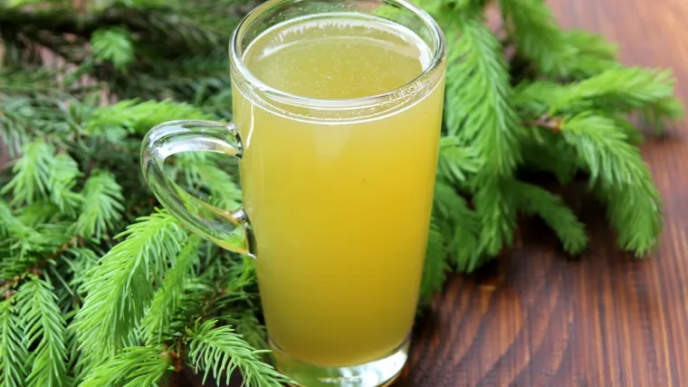 Donosimo vam recept za izrazito zdrav i ukusan sirup. Ipak budite oprezni kad prikupljate sastojke