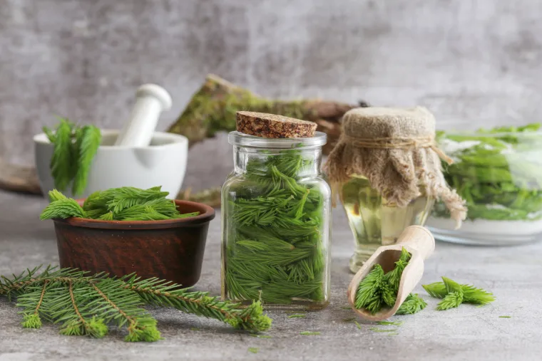 Donosimo vam recept za izrazito zdrav i ukusan sirup. Ipak budite oprezni kad prikupljate sastojke