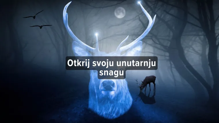 Kviz Koji je tvoj Patronus?