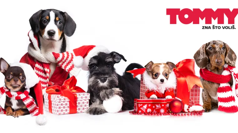 Tommy ne prodaje pirotehniku