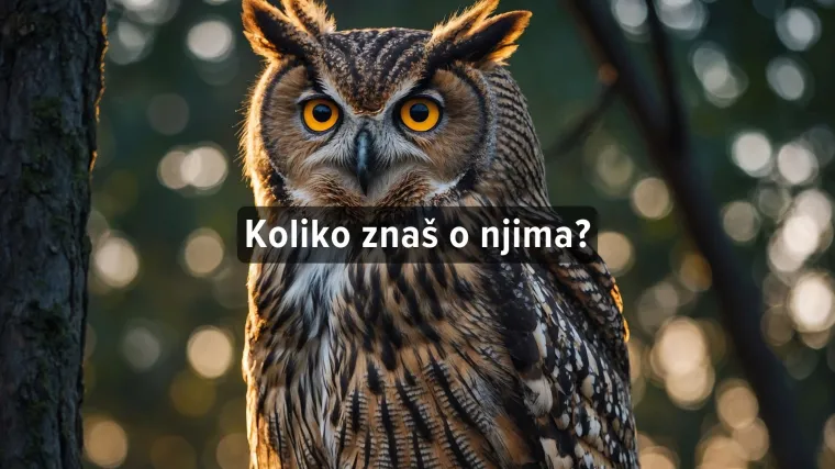 [KVIZ] Možeš li imati sve točno na kvizu o sovama?