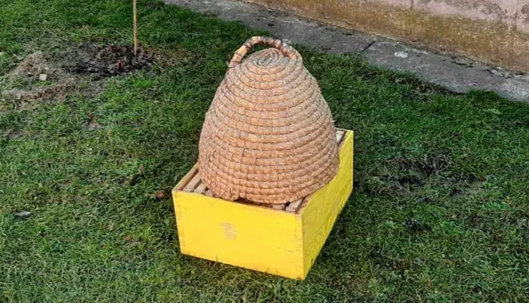 Iskusni pčelar: 'Ovako ćete prepoznati pravi med, jednostavno je'