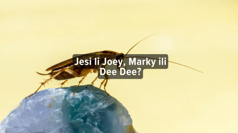 [KVIZ] Koji si žohar iz crtića Oggy i žohari?