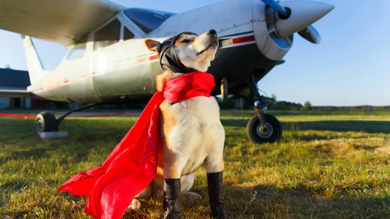 [KVIZ] Koji bi bio tvoj superherojski naziv?