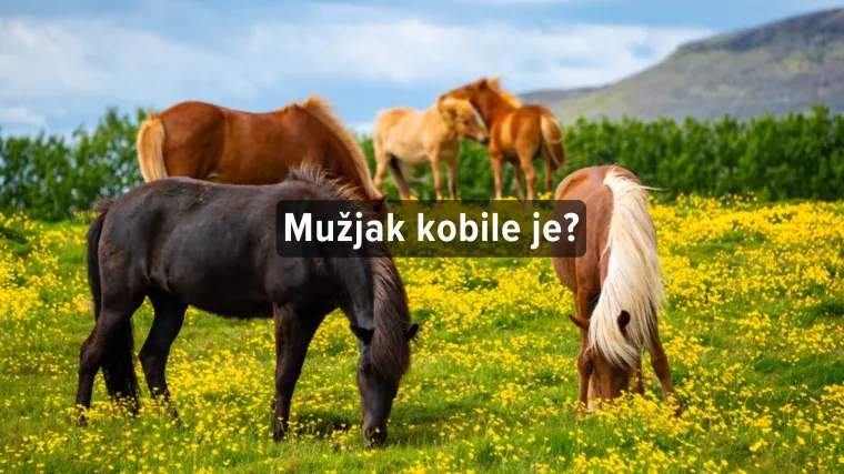 [KVIZ] Zna&scaron; li kako se nazivaju mužjak i ženka ovih životinja?