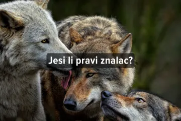 [KVIZ] Kakvo je tvoje znanje o zaštićenim životinjama?