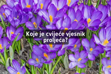 [KVIZ] Zna&scaron; li sve o vjesnicima proljeća?
