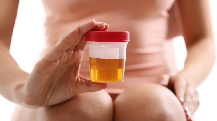 Urolog: Kako pravilno održavati higijenu vulve, je li menstrualno donje rublje dobra ideja i kako izbjeći urinarne infekcije?