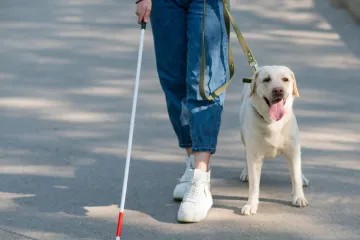 [KVIZ] Koliko znaš o psima vodičima?